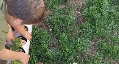 ÇESODER Tarafından Tarımsal Rehabilitasyon Kapsamında Çocuk Evlerinde Etkinlik