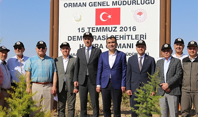 15 TEMMUZ ŞEHİTLERİ İÇİN FİDAN DİKİMİ GERÇEKLEŞTİ