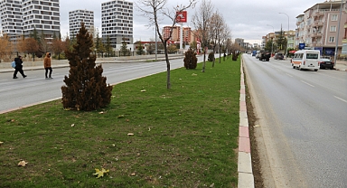 ALTYAPI VE ÜST YAPI ÇALIŞMALARI