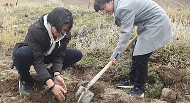Bilgeder Gençlik Merkezi Gönüllüleri Ağaç Dikme Etkinliği Gerçekleştirdi