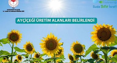 TOHUMLUK AYÇİÇEĞİ ÖZEL ÜRETİM ALANI BELİRLENDİ.