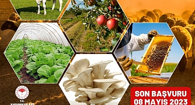 250 BİN TL HİBE DESTEĞİ
