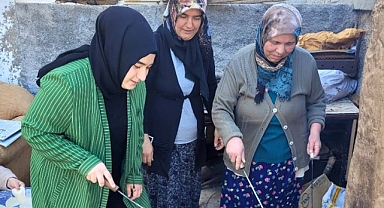 Fatma Coştu'dan Üç Aylar Pişisi