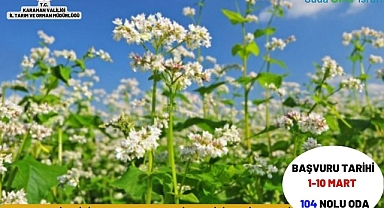 TAKE PROJESİ KAPSAMINDA %75 HİBELİ KARABUĞDAY TOHUMU