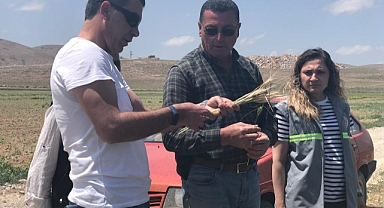 SÜNE KONUSUNDA SAHA VE BİLGİLENDİRME ÇALIŞMALARI