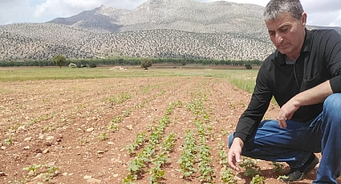 TARIM ARAZİLERİNİN KULLANIMININ ETKİNLEŞTİRİLMESİ PROJESİ