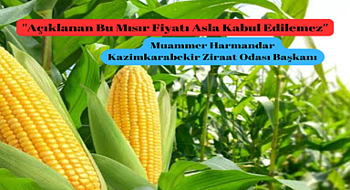 Açıklanan Bu Mısır Fiyatı Asla Kabul Edilemez !