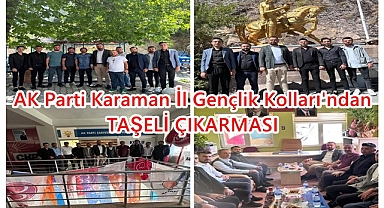AK GENÇLİK'ten TAŞELİ ÇIKARMASI