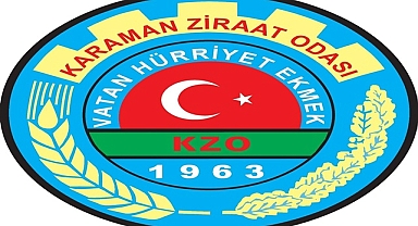 Ziraat Odası Yaban Domuzu Felaketi Nedeniyle Uyardı