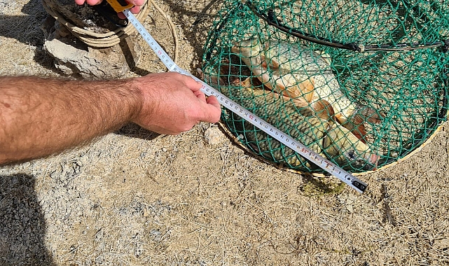 SU ÜRÜNLERİ DENETİMİ GERÇEKLEŞTİRİLDİ