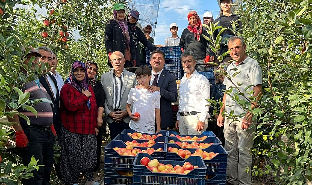 Vali H.Engin Sarıibrahim Elma Hasadına Katıldı
