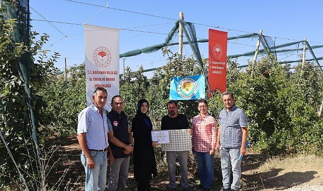 ELMA ÜRETİCİLERİNE MAVİ SERTİFİKALARI VERİLDİ