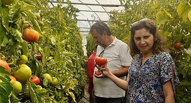 KARAMAN'DA KADINLAR SERAMDA EĞİTİMDEYİM PROJESİ İLE ÜRETİYOR