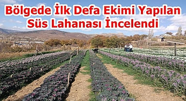 SARIVELİLER İLÇEMİZDE SÜS LAHANASI