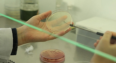 AD SCIENTIFIC INDEX DÜNYA BİLİM İNSANLARI SIRALAMASINA KMÜ’DEN 107 BİLİM İNSANI GİRDİ