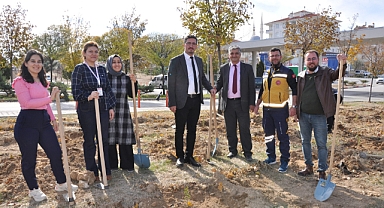 Organ Bağışı Yapanların Adına Fidan Dikildi