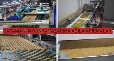KARAMAN'IN DÜNYA PAZARINA AÇILAN FİRMALARI