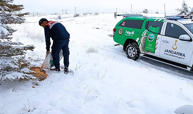 Çevre, Doğa ve Hayvanları Koruma Timi (HAYDİ) Yürekleri Isıttı