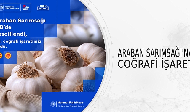ARABAN SARIMSAĞI’NA COĞRAFİ İŞARET