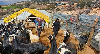 BAŞVURDUĞU PROJE İLE HAYVAN SAYISINI ÜÇE KATLADI