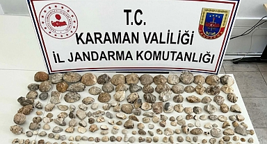 JANDARMADAN FOSİL KAÇAKÇILIĞINA OPERASYON