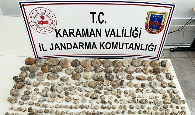 JANDARMADAN FOSİL KAÇAKÇILIĞINA OPERASYON