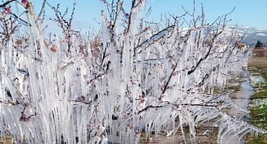 MEYVE BAHÇELERİNİ DONDAN KORUMA YÖNTEMLERİ