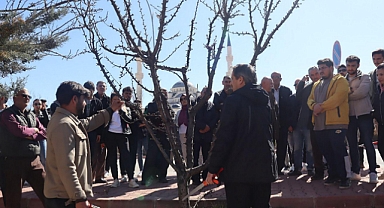 ‘MEYVECİLİKTE BUDAMA EĞİTİMİ’ DÜZENLENDİ