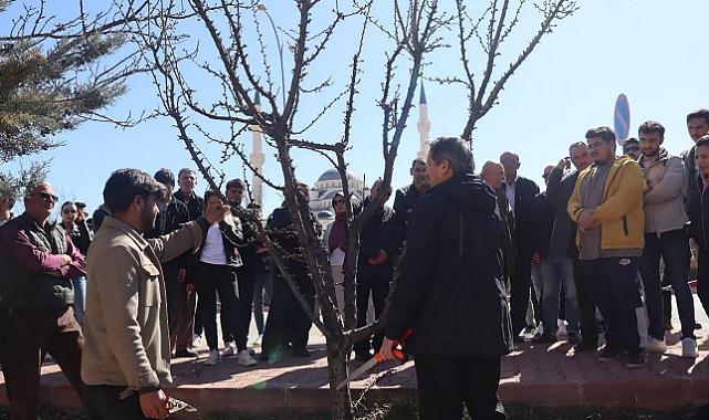 ‘MEYVECİLİKTE BUDAMA EĞİTİMİ’ DÜZENLENDİ
