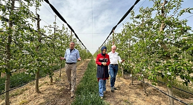 MEYVE BAHÇELERİNDE POLİNASYON 