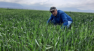 Süne Sürvey Çalışmalarına Başlandı.