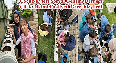 Çocuk Evleri Sosyal Gelişim Derneği Çilek Dikimi Faaliyeti Gerçekleştirdi