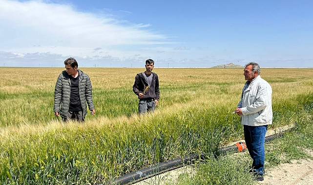 HUBUBAT ALANLARINDA HASTALIK ZARARLI KONTROLLERİ