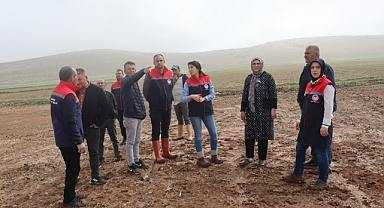 Mecidiye Köyünde Ekili Alanlarda Sel Zararı Oluştu