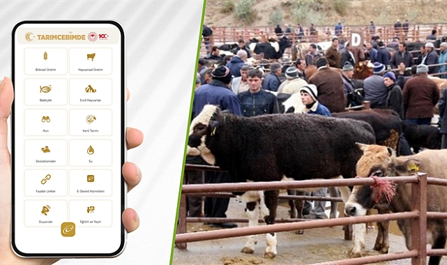 “TARIM CEBİMDE” İLE 3 ADIMDA KURBANLIK SORGULAMA