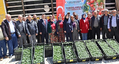 TOROSLARDA YAZ SERACILIĞI