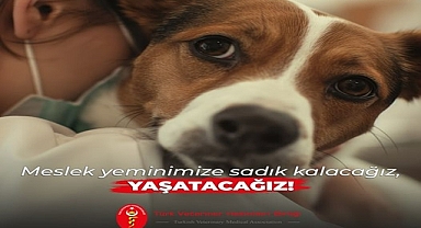 Ümit Çağlıyan; ''Türk Veteriner Hekimleri Birliği ve 56 Veteriner Hekim Odalarımızın hazırladığı çözüm önerilerimiz''
