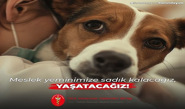 Ümit Çağlıyan; ''Türk Veteriner Hekimleri Birliği ve 56 Veteriner Hekim Odalarımızın hazırladığı çözüm önerilerimiz''