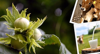 YAKLAŞIK 945 MİLYON LİRALIK TARIMSAL DESTEKLEME ÖDEMESİ ÇİFTÇİLERİN HESAPLARINA AKTARILIYOR