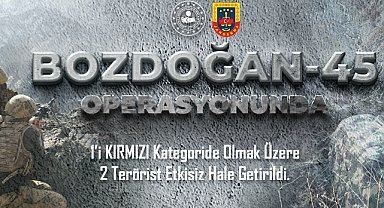Bozdoğan-45 Operasyonunda 1'i Kırmızı Kategoride Aranan 2 Terörist Etkisiz Hale Getirildi
