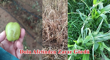 Dolu Afetinden Zarar Gördü
