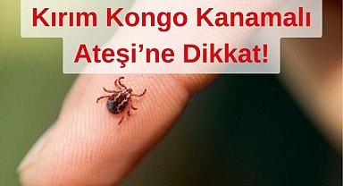 İl Sağlık Müdürü Yurdakul Kırım Kongo Hakkında Uyardı