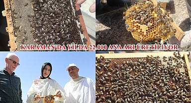 KARAMAN'DA YILDA 22.000 ANA ARI ÜRETİLİYOR