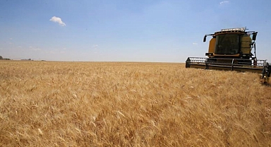 TOPRAK MAHSULLERİ OFİSİ 2024 HUBUBAT ALIM FİYATLARI BELİRLENDİ