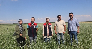 Bulut Karabuğday Tarımı Yapan Şaban Koyuncu'yu Ziyaret Etti