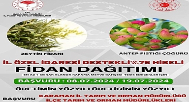 Hibeli Zeytin Fidanı ve Antep Fıstığı Çöğürü Başvuruları Başladı
