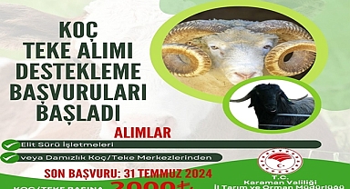 Koç, Teke Alımı Desteklemesi Başvuruları Başladı