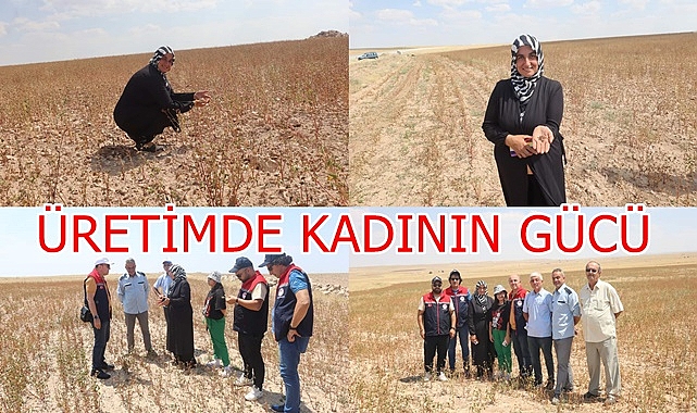 ÜRETİMDE KADININ GÜCÜ