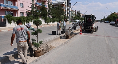ZEYTİN DALI BULVARI'NDA ORTA REFÜJ ÇALIŞMASI