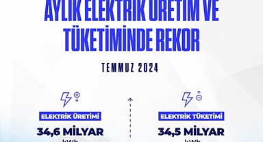 Elektrikte Temmuz Rekoru